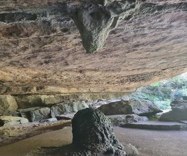 tour image